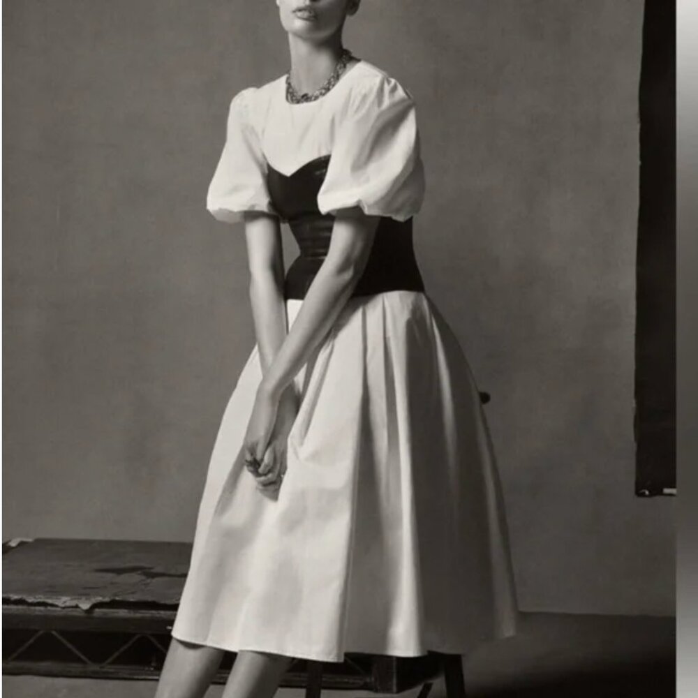 Anthropologie Eri + Ali - Corset Seamed Puff Sleeve Midi Dress